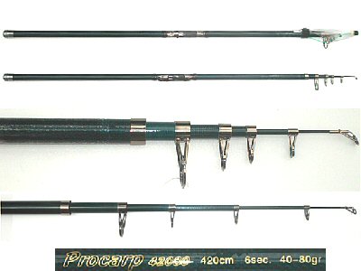 Carp Rod Procarp-42080