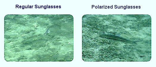 Polarized Sunglasses, Fishermen sunglasses