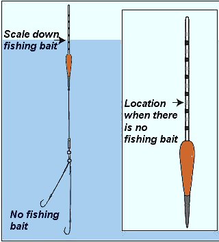 How to Put Hook & Weight on a Fishing Pole