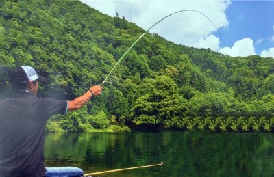 pole fishing
